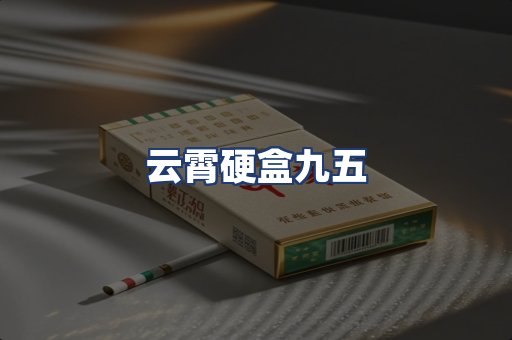 云霄硬盒九五